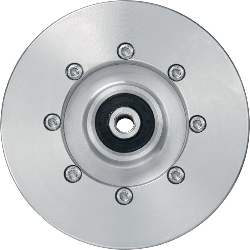 Guide wheel DSW-W 200 PR assy 